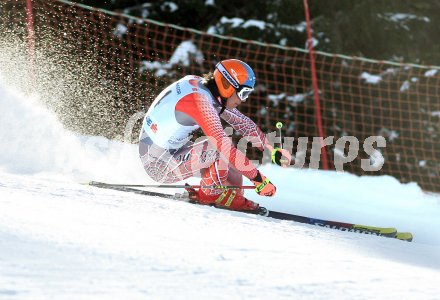 Schi Alpin Europacup. Michael Sablatnik (?sterreich). Nassfeld, am 27.2.2007.
Foto: Kuess
---
pressefotos, pressefotografie, kuess, qs, qspictures, sport, bild, bilder, bilddatenbank