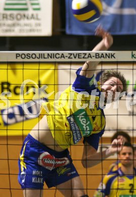 Volleyball Bundesliga. Aich/Dob gegen Enns. Kurt Aschmann (Aich/Dob). Bleiburg, am 20.1.2007.
Foto: Kuess
---
pressefotos, pressefotografie, kuess, qs, qspictures, sport, bild, bilder, bilddatenbank