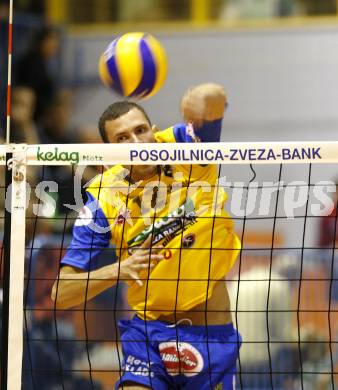 Volleyball. GM Capital Challenge Cup. SK Aich/Dob gegen Chenois Genève Volley (SUI). Bencz Milan (Aich). Prevalje 5.11.2008.
Copyright Kuess

---
pressefotos, pressefotografie, kuess, qs, qspictures, sport, bild, bilder, bilddatenbank