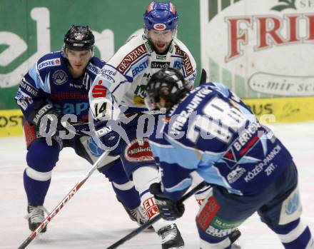 EBEL. Eishockey Bundesliga. EC Pasut VSV gegen Alba Volan Szekesfehervar. Justin Mapletoft, (VSV),  Artyom Vaszjunyin (Szekesfehervar). Villach, am 21.12.2008.
Foto: Kuess 


---
pressefotos, pressefotografie, kuess, qs, qspictures, sport, bild, bilder, bilddatenbank