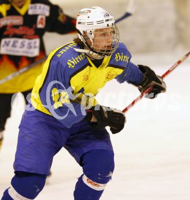 Eishockey. CHL. Althofen gegen Spittal. Waldner Christoph (Althofen). Althofen, 25.2.2009.
Foto: Kuess
---
pressefotos, pressefotografie, kuess, qs, qspictures, sport, bild, bilder, bilddatenbank