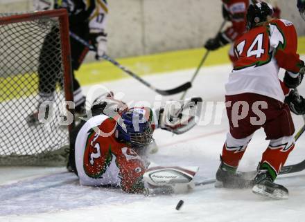 Eishockey Frauen Bundesliga. DEC Dragons Klagenfurt gegen EHC Gipsy Girls Villach. Christine Geiger (Klagenfurt). Klagenfurt, am 21.10.2009.
Foto: Kuess
---
pressefotos, pressefotografie, kuess, qs, qspictures, sport, bild, bilder, bilddatenbank
