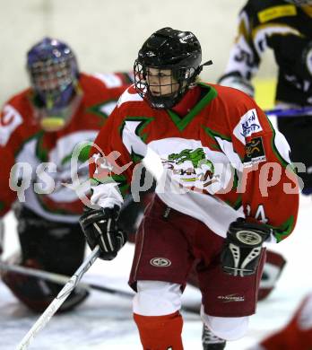 Eishockey Frauen Bundesliga. DEC Dragons Klagenfurt gegen EHC Gipsy Girls Villach. Lisa Waldner (Klagenfurt). Klagenfurt, am 21.10.2009.
Foto: Kuess
---
pressefotos, pressefotografie, kuess, qs, qspictures, sport, bild, bilder, bilddatenbank