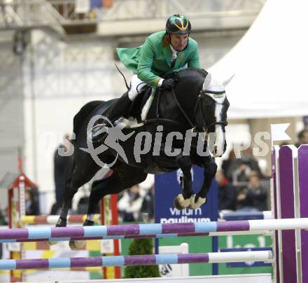 Reiten. Reit- und Springturnier. Fest der Pferde. Dieter Koefler. Klagenfurt, am 16.10.2010.
Foto: Nadja Kuess
---
pressefotos, pressefotografie, kuess, qs, qspictures, sport, bild, bilder, bilddatenbank