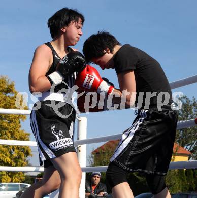 Boxen. Profiwettkaempfe. Ines Eichwalder (schwarze Handschuhe), Manuela Zulg (rote Handschuhe). Klagenfurt, am 16.10.2011.
Foto: Kuess
---
pressefotos, pressefotografie, kuess, qs, qspictures, sport, bild, bilder, bilddatenbank