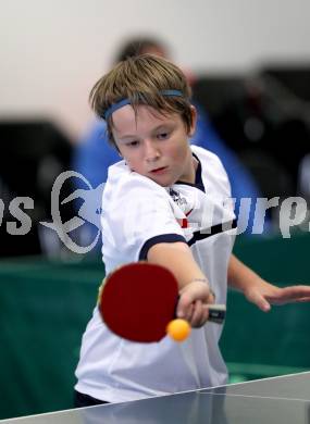 Drei Regionen Jugendspiele. Tischtennis. Klagenfurt, am 14.9.2012. Klagenfurt, am 14.9.2012.
Foto: Kuess
---
pressefotos, pressefotografie, kuess, qs, qspictures, sport, bild, bilder, bilddatenbank