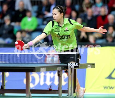 Tischtennis. Europacup. TTC Carinthia Winds Villach gegen TMK TAGMT (RUS). Li Quiangbing, (TTC Villacher). Klagenfurt, am 21.1.2015.
Foto: Kuess
---
pressefotos, pressefotografie, kuess, qs, qspictures, sport, bild, bilder, bilddatenbank