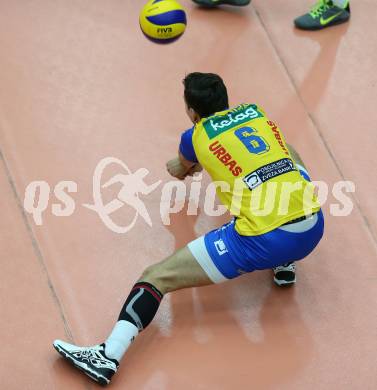 Volleyball Bundesliga. SK Posojilnica Aich/Dob gegen Hypo Tirol. Anton Lukas Menner (Aich/Dob). Bleiburg, 1.12.2016.
Foto: Kuess 
---
pressefotos, pressefotografie, kuess, qs, qspictures, sport, bild, bilder, bilddatenbank