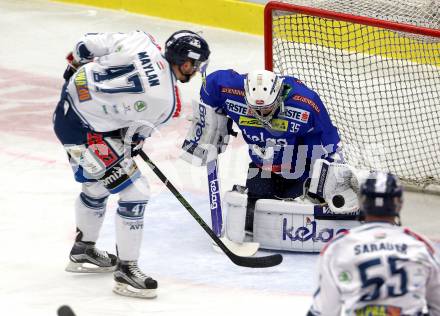 EBEL. Eishockey Bundesliga. VSV gegen	Fehervar AV 19. Olivier Roy,  (VSV), Justin Maylan (Alba Volan). Villach, am 13.1.2017.
Foto: Kuess

---
pressefotos, pressefotografie, kuess, qs, qspictures, sport, bild, bilder, bilddatenbank