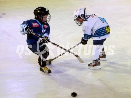 EBEL. Eishockey Bundesliga. Showtraining VSV.  Nachwuchs. U8.. Villach, am 10.2.2017.
Foto: Kuess
---
pressefotos, pressefotografie, kuess, qs, qspictures, sport, bild, bilder, bilddatenbank