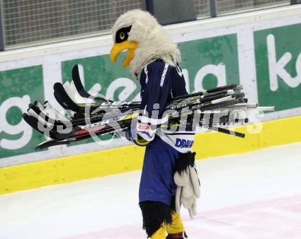 EBEL. Eishockey Bundesliga. VSV gegen	Fehervar AV 19. Maskottchen Villi (VSV). Villach, am 21.2.2017.
Foto: Kuess

---
pressefotos, pressefotografie, kuess, qs, qspictures, sport, bild, bilder, bilddatenbank