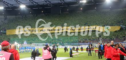 Fussball OEFB Samsung Cupfinale. SK Rapid Wien gegen FC Red Bull Salzburg. Fans (Wien). Klagenfurt Woertherseestadion, am 1.6.2017.
Foto: Kuess

---
pressefotos, pressefotografie, kuess, qs, qspictures, sport, bild, bilder, bilddatenbank