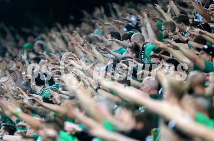 Fussball OEFB Samsung Cupfinale. SK Rapid Wien gegen FC Red Bull Salzburg. Fans (Wien). Klagenfurt Woertherseestadion, am 1.6.2017.
Foto: Kuess

---
pressefotos, pressefotografie, kuess, qs, qspictures, sport, bild, bilder, bilddatenbank