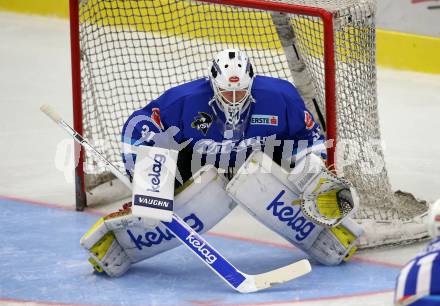 EBEL. Eishockey Bundesliga. Testspiel. EC VSV gegen Lyon. David Kickert (VSV). Villach, am 10.8.2017.
Foto: Kuess 


---
pressefotos, pressefotografie, kuess, qs, qspictures, sport, bild, bilder, bilddatenbank