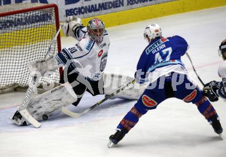 EBEL. Eishockey Bundesliga. EC VSV gegen Fehervar AV 19. Ryan Glenn, (VSV), MacMillan Carruth (Alba Volan). Villach, am 19.11.2017.
Foto: Kuess 


---
pressefotos, pressefotografie, kuess, qs, qspictures, sport, bild, bilder, bilddatenbank