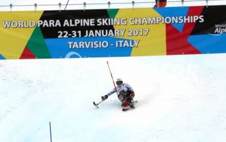 Schi Alpin. Worls Para Alpine Skiing. Claudia Loesch (AUT). Tarvis, am 31.1.2017.
Foto: Kuess
---
pressefotos, pressefotografie, kuess, qs, qspictures, sport, bild, bilder, bilddatenbank