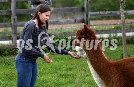 Eisschnellauf. Vanessa Herzog. Ferlach, am 26.4.2019.
Foto: Kuess
---
pressefotos, pressefotografie, kuess, qs, qspictures, sport, bild, bilder, bilddatenbank