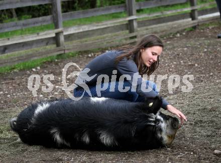 Eisschnellauf. Vanessa Herzog. Ferlach, am 26.4.2019.
Foto: Kuess
---
pressefotos, pressefotografie, kuess, qs, qspictures, sport, bild, bilder, bilddatenbank