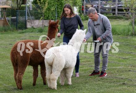 Eisschnellauf. Vanessa Herzog, Thomas Herzog. Ferlach, am 26.4.2019.
Foto: Kuess
---
pressefotos, pressefotografie, kuess, qs, qspictures, sport, bild, bilder, bilddatenbank