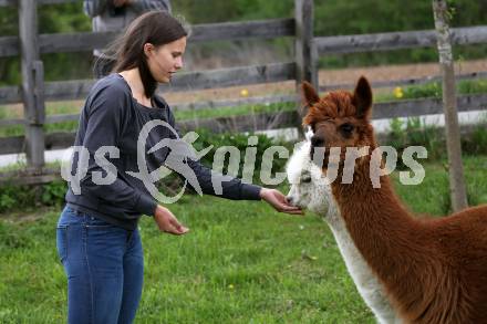 Eisschnellauf. Vanessa Herzog. Ferlach, am 26.4.2019.
Foto: Kuess
---
pressefotos, pressefotografie, kuess, qs, qspictures, sport, bild, bilder, bilddatenbank