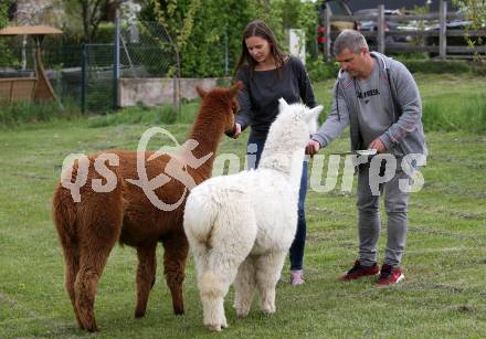 Eisschnellauf. Vanessa Herzog, Thomas Herzog. Ferlach, am 26.4.2019.
Foto: Kuess
---
pressefotos, pressefotografie, kuess, qs, qspictures, sport, bild, bilder, bilddatenbank