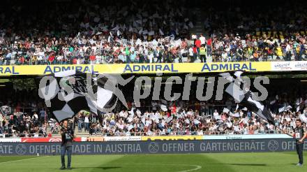 Fussball tipico Bundesliga. RZ Pellets WAC gegen SK Puntigamer Sturm Graz.  Fans WAC. Wolfsberg, am 26.5.2019.
Foto: Kuess

---
pressefotos, pressefotografie, kuess, qs, qspictures, sport, bild, bilder, bilddatenbank