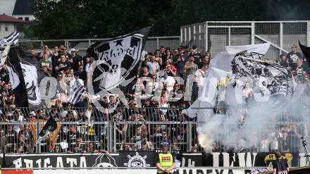 Fussball tipico Bundesliga. RZ Pellets WAC gegen SK Puntigamer Sturm Graz.  Fans Sturm. Wolfsberg, am 26.5.2019.
Foto: Kuess

---
pressefotos, pressefotografie, kuess, qs, qspictures, sport, bild, bilder, bilddatenbank