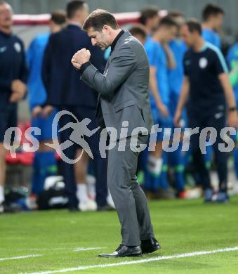 Fussball Laenderspiel. Europameisterschaft Qualifikation. Oesterreich gegen Slowenien. Jubel Trainer Franco Foda (Oesterreich). Klagenfurt, am 7.6.2019.
Foto: Kuess
---
pressefotos, pressefotografie, kuess, qs, qspictures, sport, bild, bilder, bilddatenbank