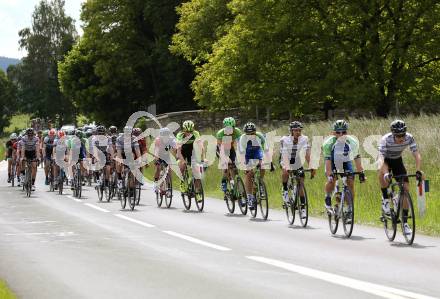 Radsport. Voerlkermarkter Radsporttage. Diexer Bergrennen.  Voelkermarkt/Diex, am 1.6.2019.
Foto: Kuess
---
pressefotos, pressefotografie, kuess, qs, qspictures, sport, bild, bilder, bilddatenbank