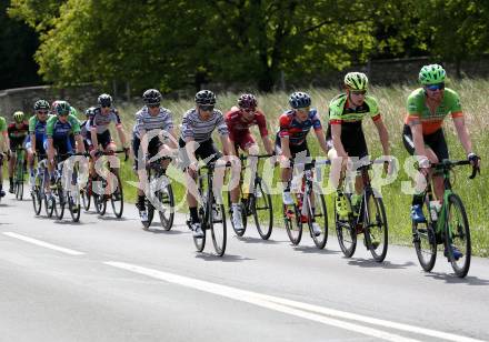 Radsport. Voerlkermarkter Radsporttage. Diexer Bergrennen.  Voelkermarkt/Diex, am 1.6.2019.
Foto: Kuess
---
pressefotos, pressefotografie, kuess, qs, qspictures, sport, bild, bilder, bilddatenbank