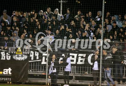 Fussball OEFB-Cup. SK Austria Klagenfurt gegen SK Puntigamer Sturm Graz. Fans  (Graz). Klagenfurt, am 25.9.2019.
Foto: Kuess
www.qspictures.net
---
pressefotos, pressefotografie, kuess, qs, qspictures, sport, bild, bilder, bilddatenbank