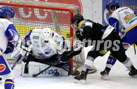 EBEL. Eishockey Bundesliga. VSV gegen Dornbirn Bulldogs. Alexander Schmidt,   (VSV), William Charles Rapuzzi (Dornbirn). Villach, am 10.11.2020.
Foto: Kuess
www.qspictures.net
---
pressefotos, pressefotografie, kuess, qs, qspictures, sport, bild, bilder, bilddatenbank