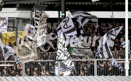 Fussball Bundesliga. Meistergruppe. WAC gegen SK Puntigamer Sturm Graz.  Fans . Wolfsberg, am 3.4.2022.
Foto: Kuess
www.qspictures.net
---
pressefotos, pressefotografie, kuess, qs, qspictures, sport, bild, bilder, bilddatenbank