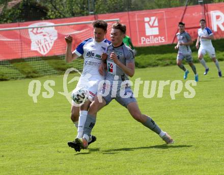 Fussball. Regionalliga. WAC Amateure gegen Treibach. Niklas Pertlwieser (WAC Amat.),   Philipp Hoeberl (Treibach). St. Andrae, 30.4.2022.
Foto: Kuess
www.qspictures.net
---
pressefotos, pressefotografie, kuess, qs, qspictures, sport, bild, bilder, bilddatenbank