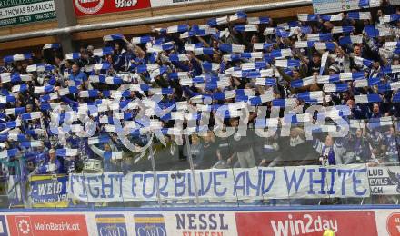 EBEL. Eishockey Bundesliga. VSV gegen KAC.    Fans (VSV). Klagenfurt, am 7.3.2023.
Foto: Kuess
www.qspictures.net
---
pressefotos, pressefotografie, kuess, qs, qspictures, sport, bild, bilder, bilddatenbank