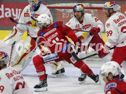 EBEL. Eishockey Bundesliga. EC KAC gegen Salzburg.  Lukas Haudum,   (KAC),  Lucas Thaler   (Salzburg). Klagenfurt, am 31.3.2023.
Foto: Kuess
www.qspictures.net
---
pressefotos, pressefotografie, kuess, qs, qspictures, sport, bild, bilder, bilddatenbank