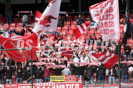 Fussball Bundesliga. SK Austria Klagenfurt gegen Salzburg. Fans   (Salzburg).  Klagenfurt, am 2.4.2023.
Foto: Kuess
---
pressefotos, pressefotografie, kuess, qs, qspictures, sport, bild, bilder, bilddatenbank