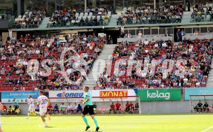 Fussball Bundesliga. SK Austria Klagenfurt gegen FK Austria Wien.  Fans (Klagenfurt). Klagenfurt, am 21.5.2023.
Foto: Kuess
---
pressefotos, pressefotografie, kuess, qs, qspictures, sport, bild, bilder, bilddatenbank