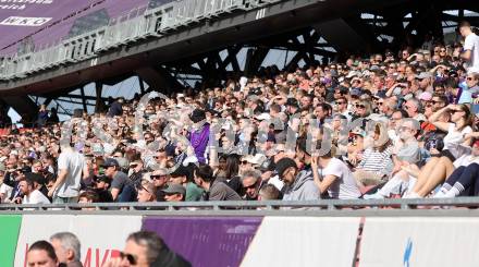 Fussball Bundesliga. SK Austria Klagenfurt gegen SK Puntigamer Sturm Graz.  Fans (Klagenfurt).  Klagenfurt, am 17.3.2024.
Foto: Kuess
www.qspictures.net
---
pressefotos, pressefotografie, kuess, qs, qspictures, sport, bild, bilder, bilddatenbank