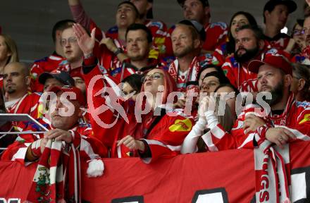 EBEL. Eishockey Bundesliga. EC KAC gegen Salzburg.  Fans (KAC),   Klagenfurt, am 19.4..2024.
Foto: Kuess
www.qspictures.net
---
pressefotos, pressefotografie, kuess, qs, qspictures, sport, bild, bilder, bilddatenbank