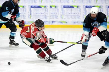 Eishockey. AHC Division 2 Ost.. Lendhafen Seeloewen gegen Reifnitz Trouts. Peter Kasper (Seeloewen), Daniel Goetzhaber (Reifnitz).. Ferlach, am 15.12.2024.
Foto: Kuess
---
pressefotos, pressefotografie, kuess, qs, qspictures, sport, bild, bilder, bilddatenbank