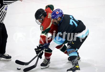 Eishockey. AHC Division 2 Ost.. Lendhafen Seeloewen gegen Reifnitz Trouts. Daniel Wachter (Seeloewen), Nico Toff (Reifnitz).. Ferlach, am 15.12.2024.
Foto: Kuess
---
pressefotos, pressefotografie, kuess, qs, qspictures, sport, bild, bilder, bilddatenbank