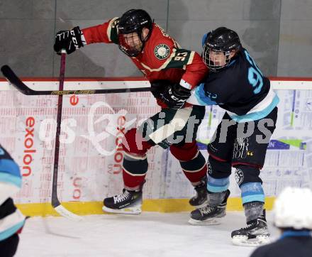 Eishockey. AHC Division 2 Ost.. Lendhafen Seeloewen gegen Reifnitz Trouts. Sandro Czechner (Seeloewen), Josef Schoenett  (Reifnitz).. Ferlach, am 15.12.2024.
Foto: Kuess
---
pressefotos, pressefotografie, kuess, qs, qspictures, sport, bild, bilder, bilddatenbank