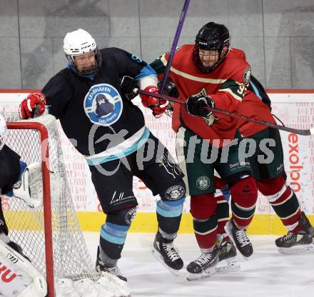 Eishockey. AHC Division 2 Ost.. Lendhafen Seeloewen gegen Reifnitz Trouts. Peter Kasper (Seeloewen), Josef Schoentt (Reifnitz).. Ferlach, am 15.12.2024.
Foto: Kuess
---
pressefotos, pressefotografie, kuess, qs, qspictures, sport, bild, bilder, bilddatenbank