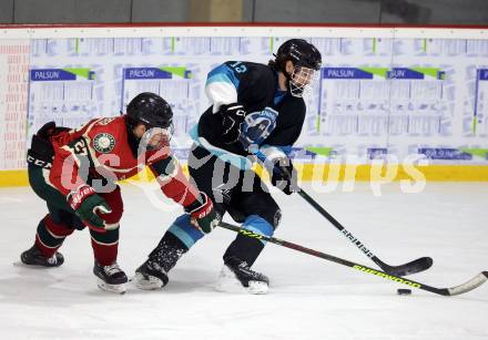 Eishockey. AHC Division 2 Ost.. Lendhafen Seeloewen gegen Reifnitz Trouts. Alexander Cijan(Seeloewen), Daniel Goetzhaber (Reifnitz).. Ferlach, am 15.12.2024.
Foto: Kuess
---
pressefotos, pressefotografie, kuess, qs, qspictures, sport, bild, bilder, bilddatenbank