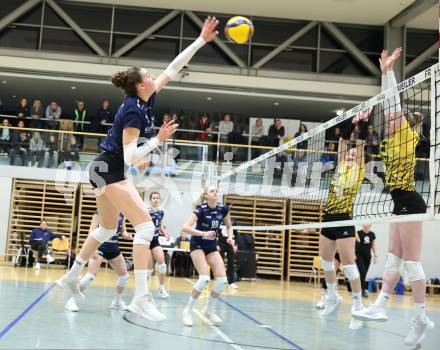 Volleyball. Frauen. Bundesliga. ATSC Wildcats Klagenfurt gegen Sokol/Post. Julia Trunner (Wildcats). Klagenfurt, am 25.1.2025
Foto: Kuess
---
pressefotos, pressefotografie, kuess, qs, qspictures, sport, bild, bilder, bilddatenbank