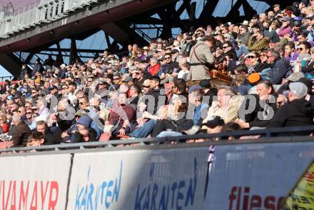 Fussball Bundesliga. SK Austria Klagenfurt gegen LASK. Fans  (Klagenfurt). Klagenfurt, am 2.3..2025.
Foto: Kuess
---
pressefotos, pressefotografie, kuess, qs, qspictures, sport, bild, bilder, bilddatenbank