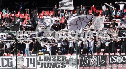 Fussball Bundesliga. SK Austria Klagenfurt gegen LASK. Fans (LASK). Klagenfurt, am 2.3..2025.
Foto: Kuess
---
pressefotos, pressefotografie, kuess, qs, qspictures, sport, bild, bilder, bilddatenbank