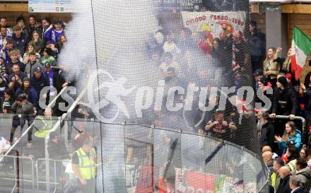 Eishockey ICE Bundesliga. VSV gegen Bozen. Fans (Bozen) . Villach, am 14.3.2025
Foto: Kuess
---
pressefotos, pressefotografie, kuess, qs, qspictures, sport, bild, bilder, bilddatenbank