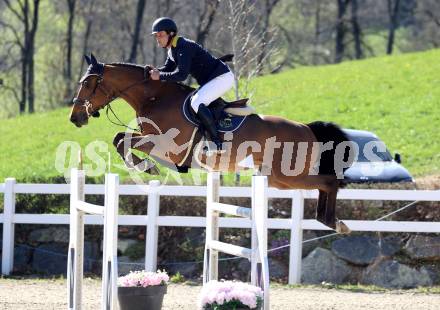 Reiten. Reitsport. Alpenspan Grand Prix. Fritz Kogelnig jun. auf BG Rio van de Groenhave.   St. Margarethen im Lavanttal, am 6.4.2025.
Foto: Kuess 
---
pressefotos, pressefotografie, kuess, qs, qspictures, sport, bild, bilder, bilddatenbank